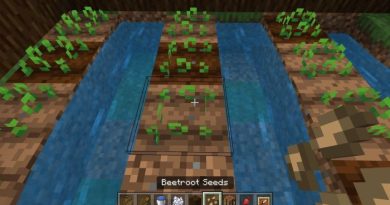 How to plant minecraft seeds