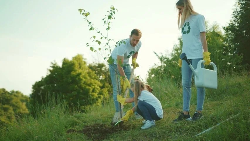 Plant a tree in memory of dog