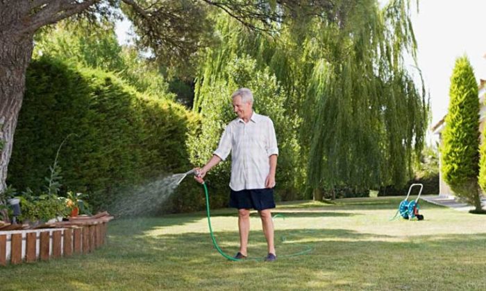 Best time to plant trees in nj