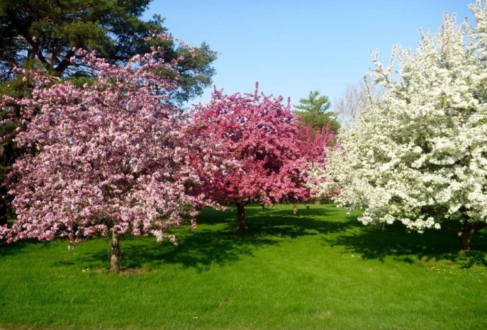 Best time to plant trees in nj