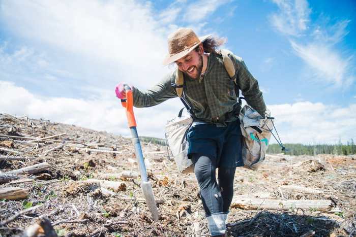 Auger to plant trees