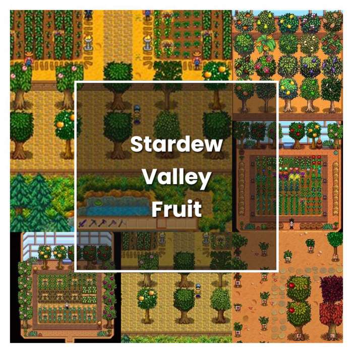 Stardew valley plant fruit trees